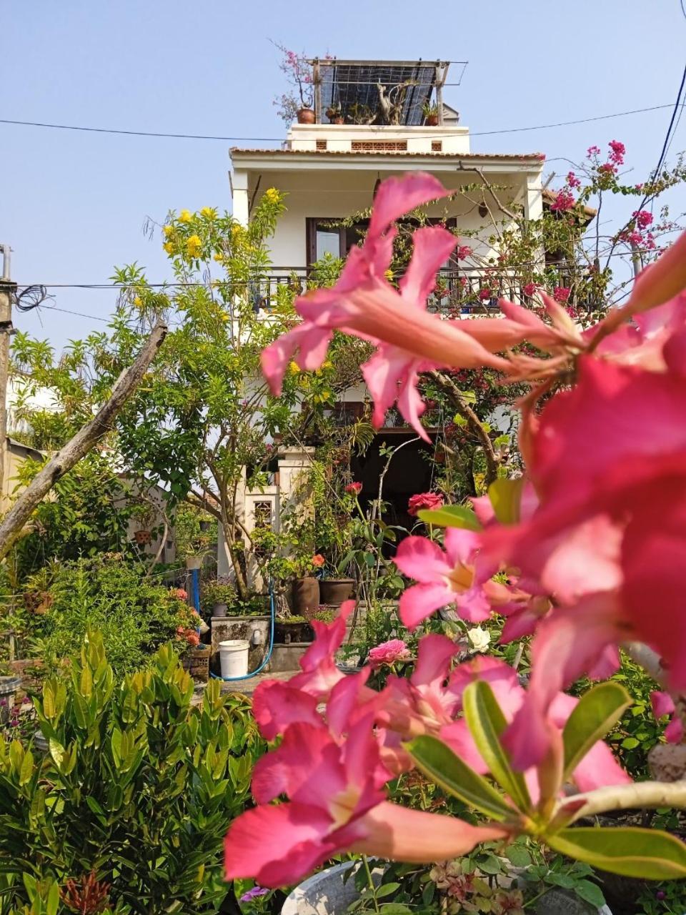 Anbang Morning Glory 안방비치 숙소호텔 * Hoi An