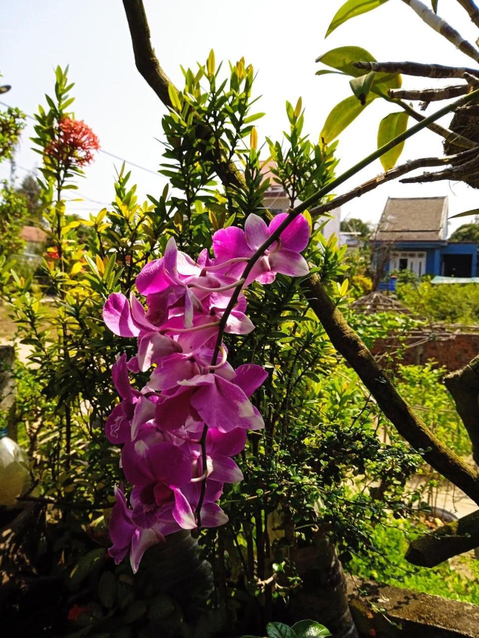 Anbang Morning Glory 안방비치 숙소호텔 Homestay Hoi An
