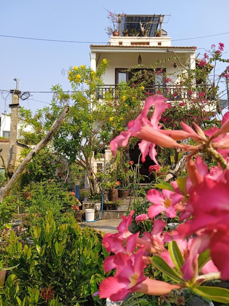 Anbang Morning Glory 안방비치 숙소호텔 Homestay *
