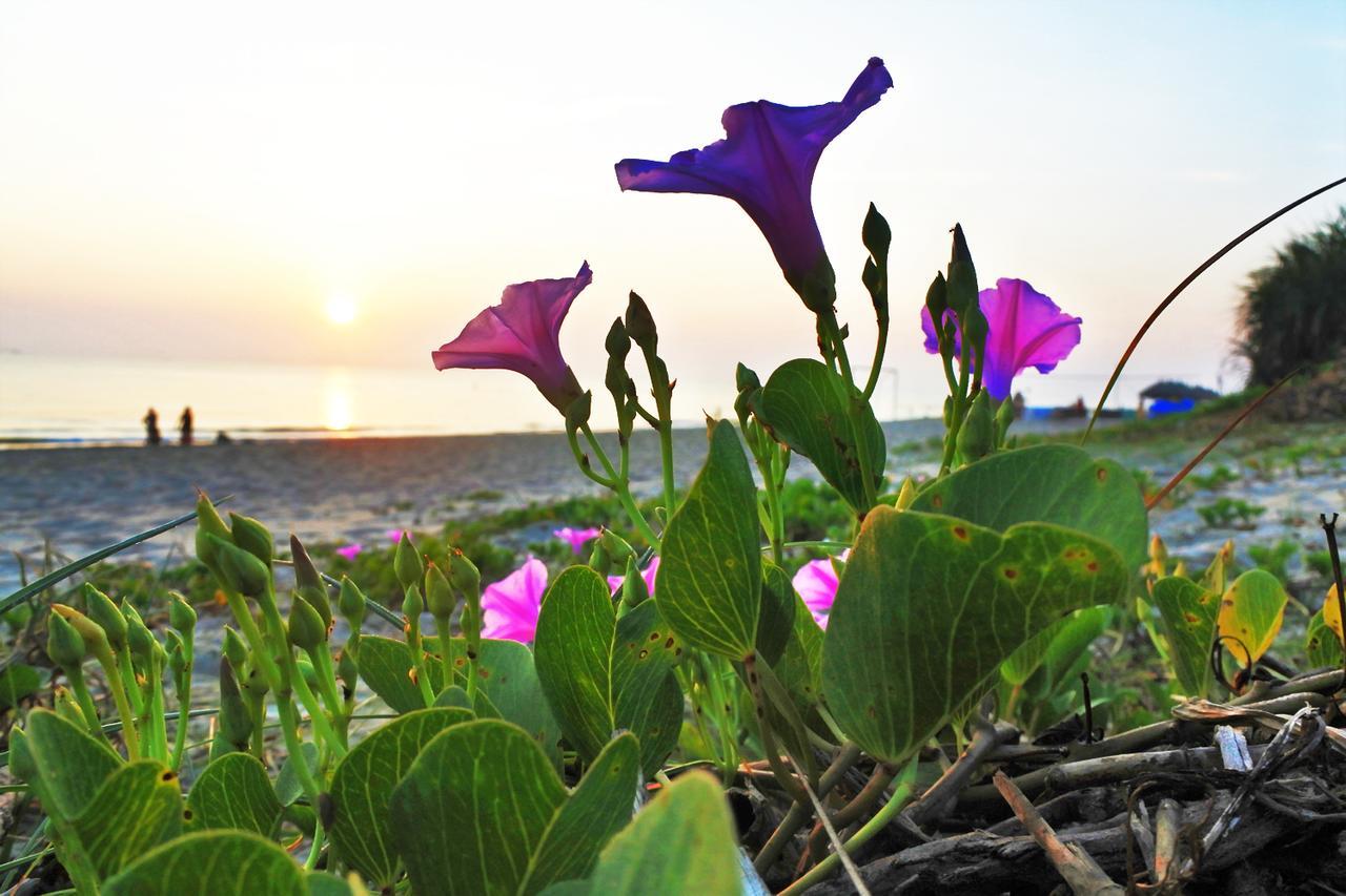 Homestay Anbang Morning Glory 안방비치 숙소호텔 Hoi An