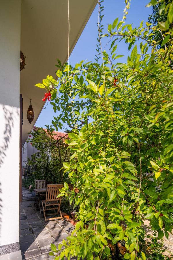 Homestay Anbang Morning Glory 안방비치 숙소호텔 Hoi An